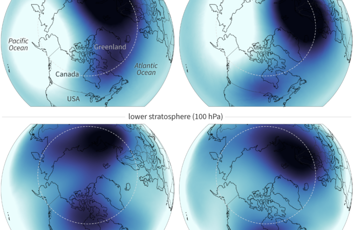 Understanding the Polar Vortex Split Forecast