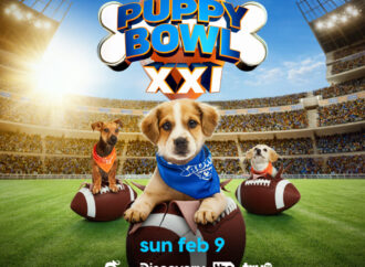 Puppy Bowl 2026: The Ultimate Showcase of Puppy Power