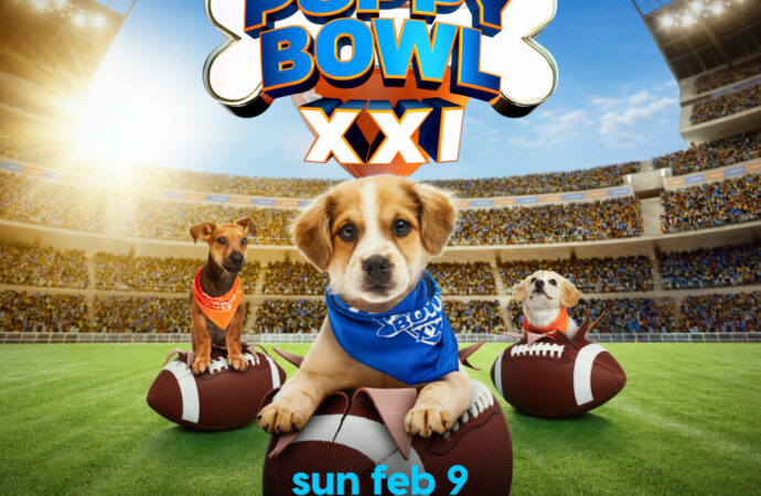Puppy Bowl 2026: The Ultimate Showcase of Puppy Power