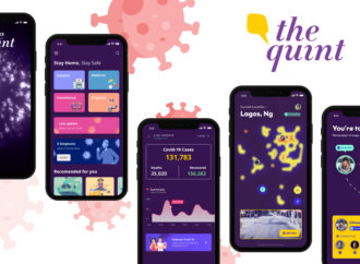 Exploring the Concept of Quint in Diverse Spheres