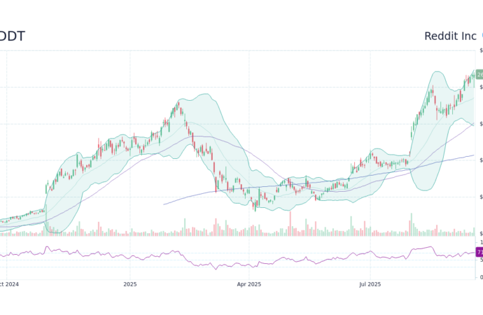 Understanding RDDT Stock: Recent Developments and Insights