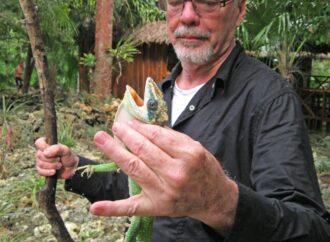 The Life and Contributions of Robert Trivers