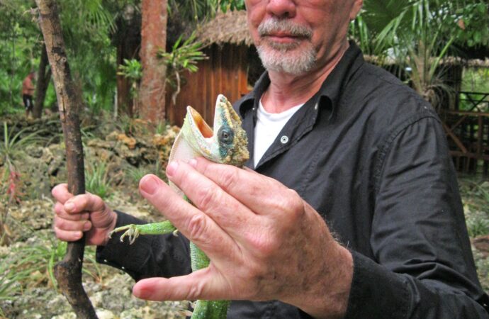 The Life and Contributions of Robert Trivers