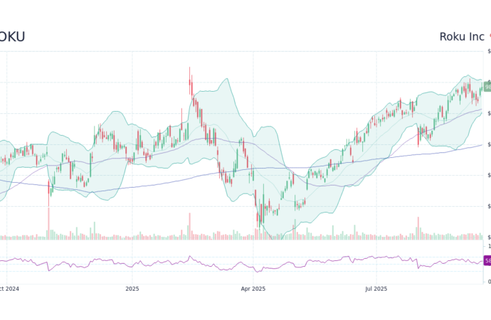 Roku Stock: Insights and Performance Trends