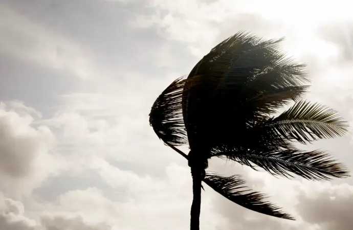 Understanding San Diego Weather: Trends and Forecasts