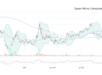 An In-Depth Look at SMCI Stock Performance
