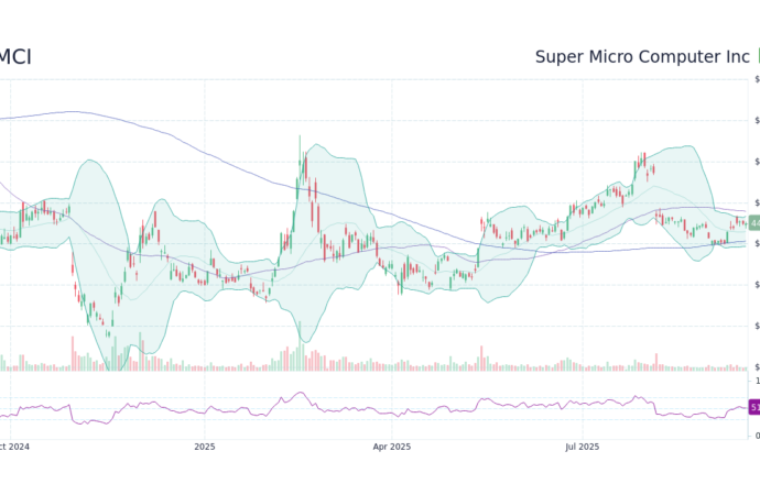 An In-Depth Look at SMCI Stock Performance