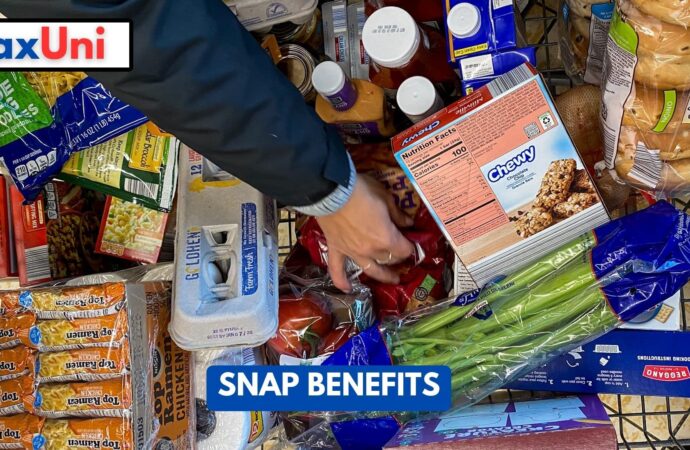 Understanding SNAP Benefits: What You Need to Know in 2023