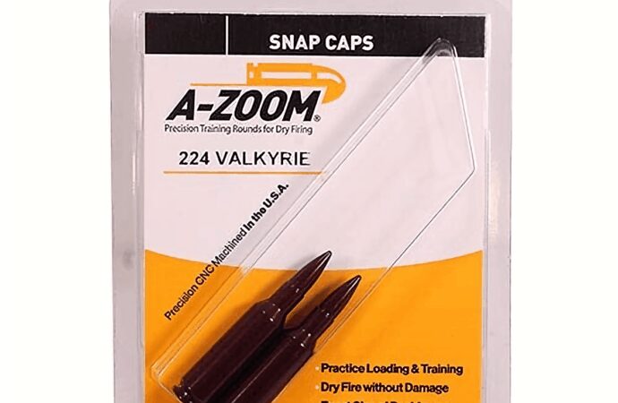 Snap Stock: Analyzing Recent Trends and Market Performance