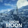 Exploring the Snow Moon 2026: Significance and Viewing Tips