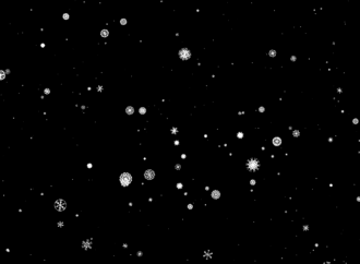 The Recent Snowfall and Its Community Impact in 2023