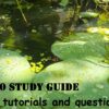 The Importance of Study Techniques in Education