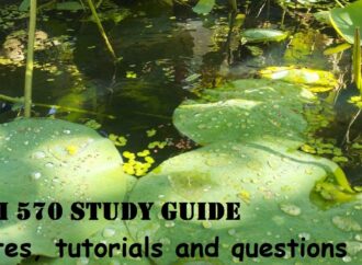 The Importance of Study Techniques in Education