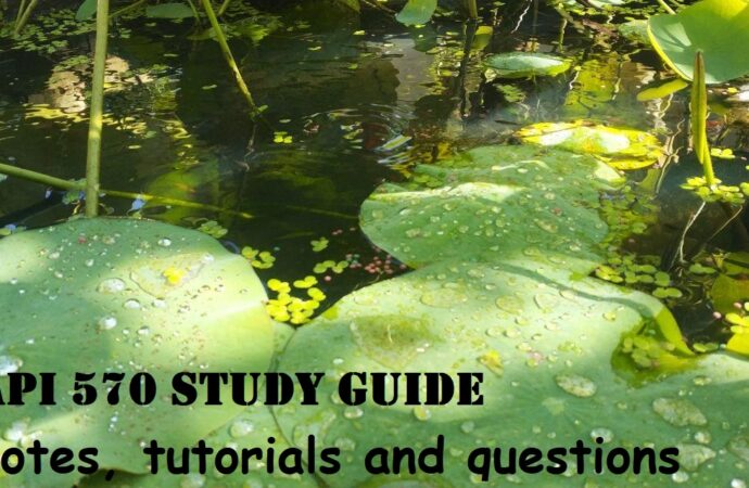 The Importance of Study Techniques in Education
