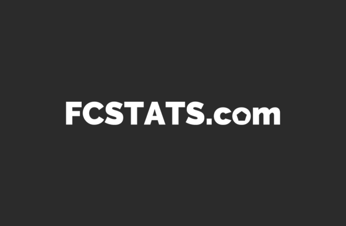 Current Status and Insights on Stuttgart FC
