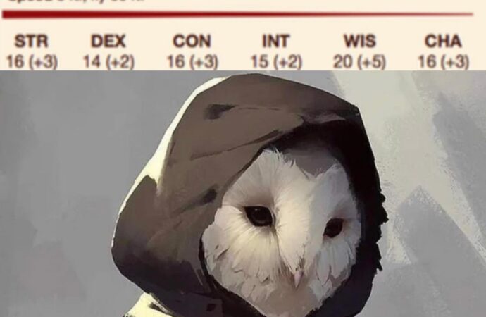 The Superb Owl: A Celebration of Community and Sports
