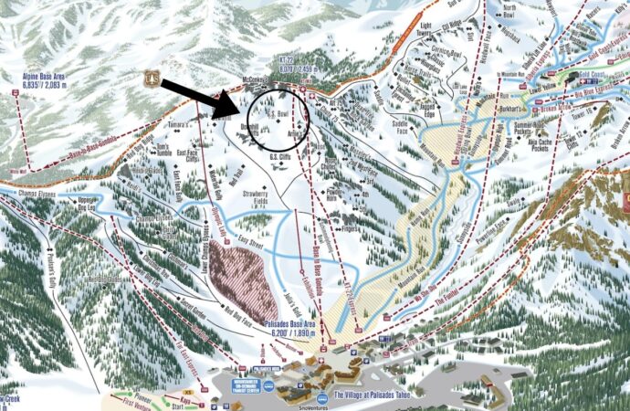 Understanding the Recent Tahoe Avalanche Incident