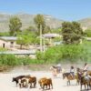 Unveiling the Treasures of Tucson, Arizona