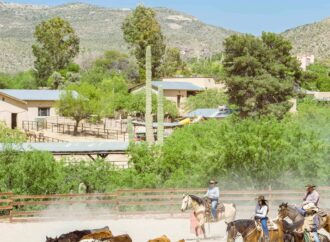 Unveiling the Treasures of Tucson, Arizona