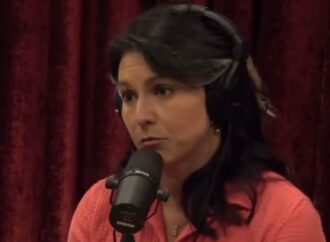 Tulsi Gabbard: A Political Force in Contemporary America