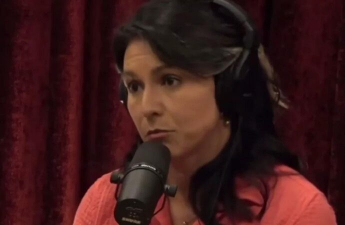 Tulsi Gabbard: A Political Force in Contemporary America
