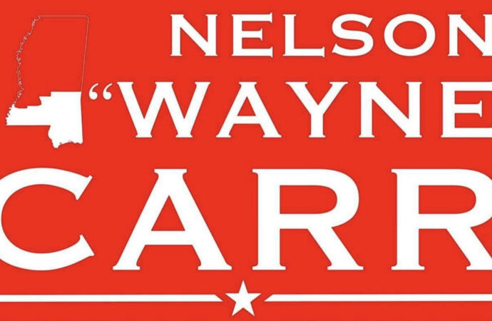 Exploring Wayne: A Community Resilient and Thriving