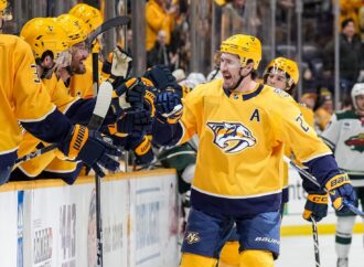 Wild vs Predators: Understanding the Natural Balance
