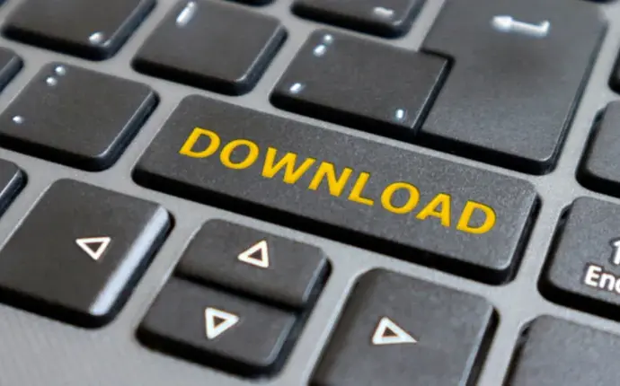 Admit card pstet: PSTET Admit Card 2026 Released