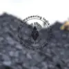 Coal india share performance shows potential for growth