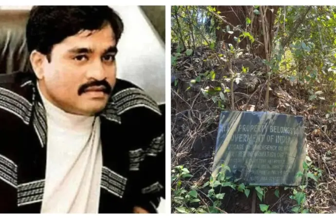 Dawood: What Are the Implications of  Ibrahim’s Properties Being Auctioned?