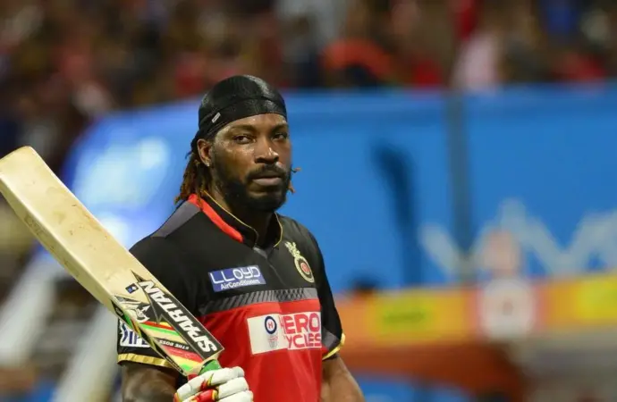 Dewald brevis: What Impact Has  Made in the IPL?