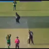 दक्षिण अफ्रीका बनाम न्यूजीलैंड: What to Expect from South Africa vs New Zealand in T20 Matches?