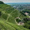 France: What Recent Developments in ‘s G7 Foreign Ministers’ Meeting Mean for Global Politics?