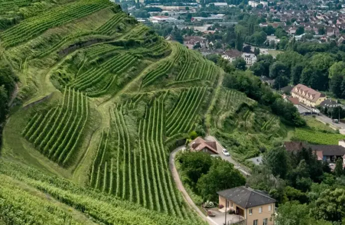 France: What Recent Developments in ‘s G7 Foreign Ministers’ Meeting Mean for Global Politics?