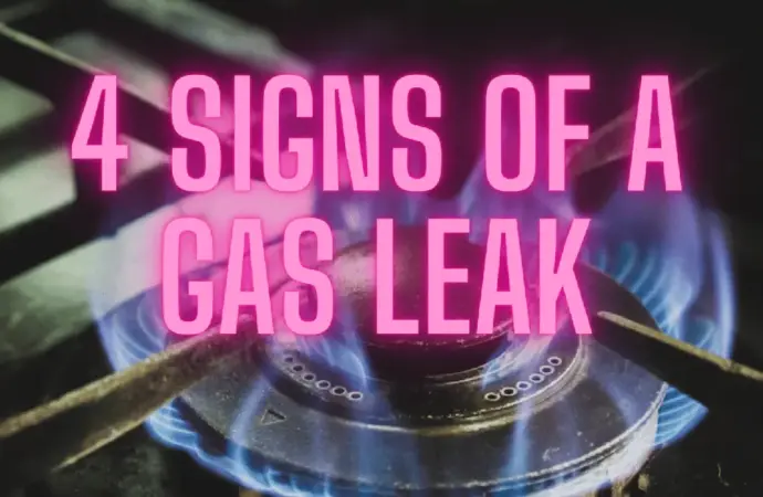Gas Supply Regulation Order Issued by Indian Government Amid West Asia Conflict