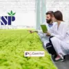 GSP Crop Science IPO GMP: Key Developments and Subscription Status