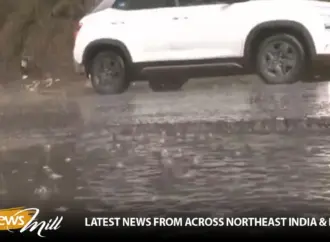 Hailstorm: What Impact Did the  Have on Shimla?