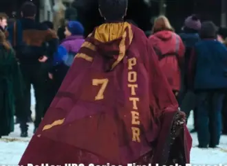 Hbo harry potter series: What to Expect from the ?