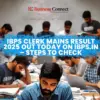Ibps clerk mains result: Key Insights and Implications for Investors