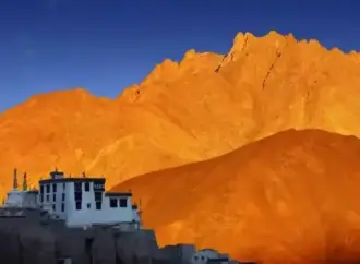 Ladakh: Traffic Resumes on Zoji La Pass in  After Heavy Snowfall