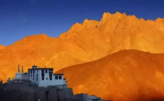 Ladakh: Traffic Resumes on Zoji La Pass in  After Heavy Snowfall