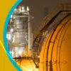 Lng: What is the impact of the  supply disruption on India?