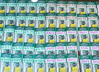 Lottery result: What Are the Latest s in Kerala?