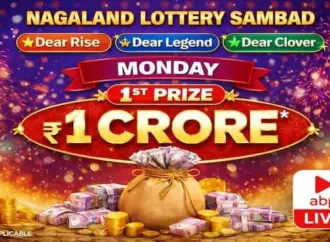 Lottery Sambad Night: Nagaland State Lottery Results