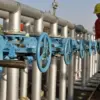 Oleum gas leak causes panic in Maharashtra’s Palghar district: Incident Overview
