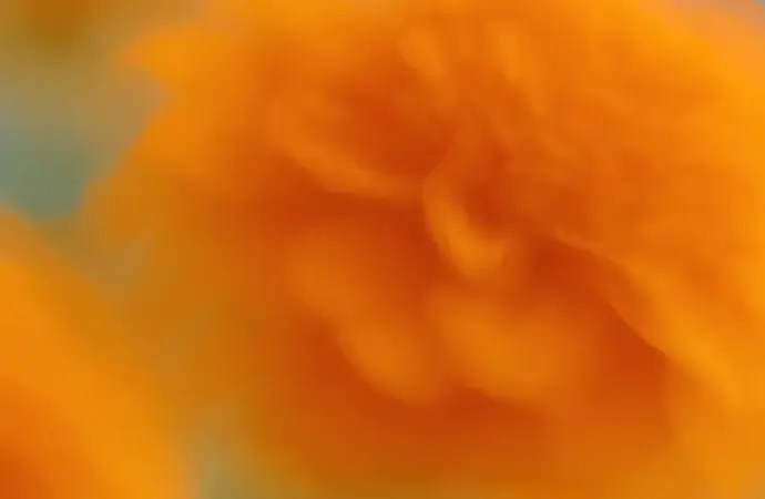 Openai: What are the latest developments at ?