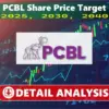 Pcbl share price: What is driving the surge in ?