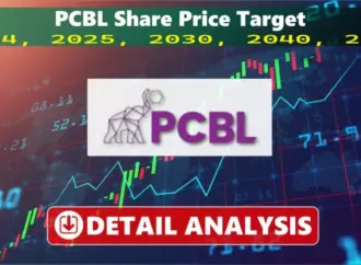 Pcbl share price: What is driving the surge in ?