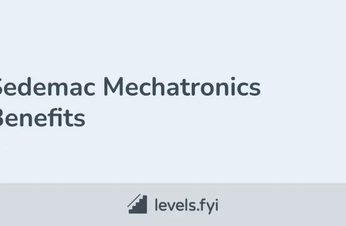 Sedemac mechatronics IPO: A New Chapter for the Technology Company
