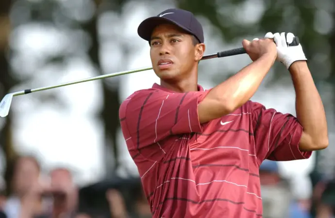 Tiger woods: What Happened to  in the Latest Crash?